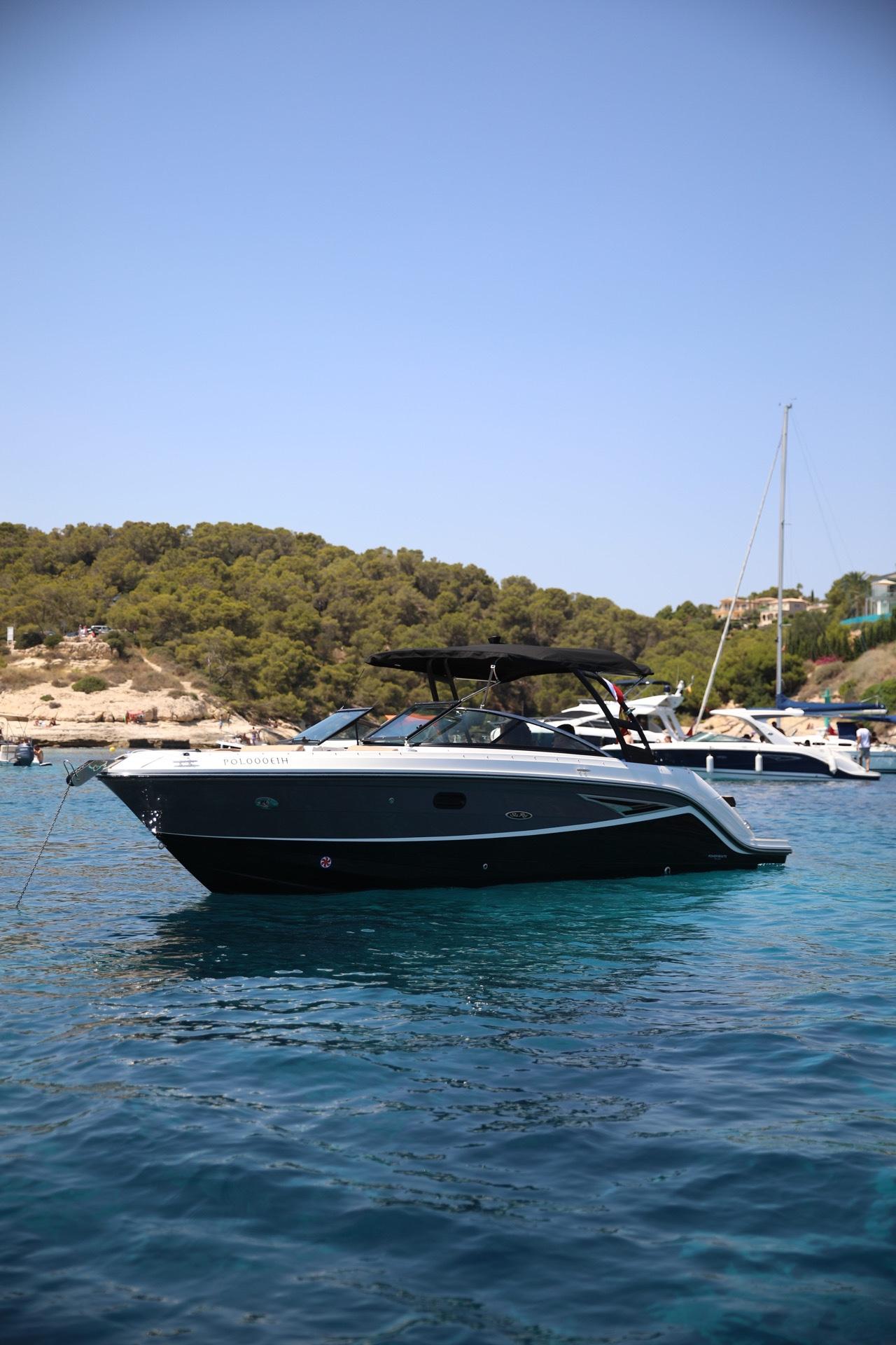 Used Sea Ray 250 SLX in Islas Baleares - iNautia