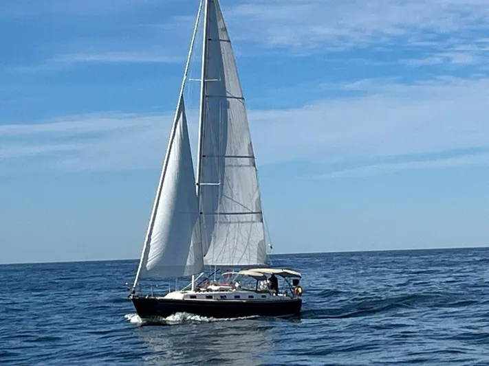 Patience Preferred Yacht Photos Pics 