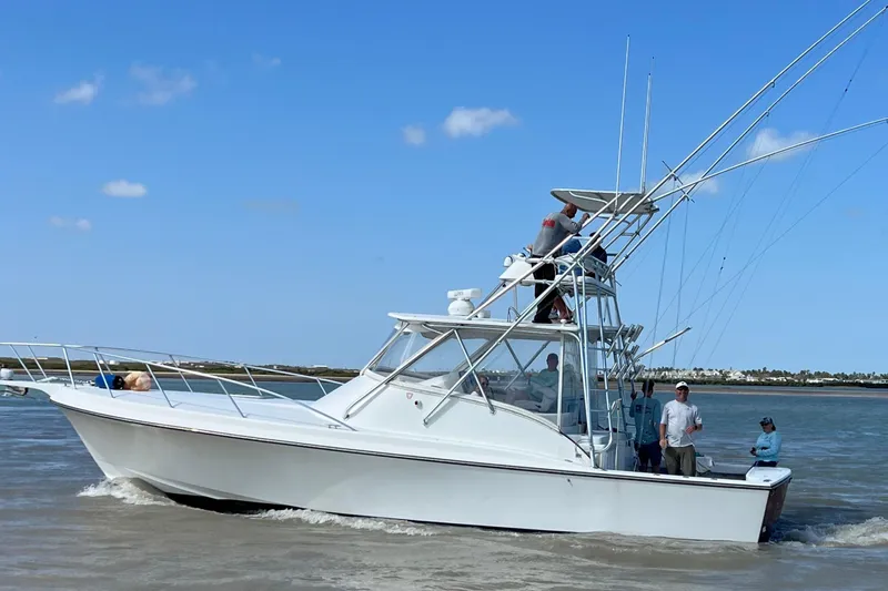 Pandemonium Yacht Photos Pics 