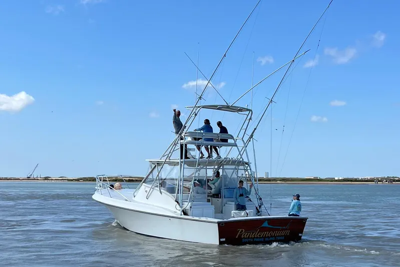 Pandemonium Yacht Photos Pics 1