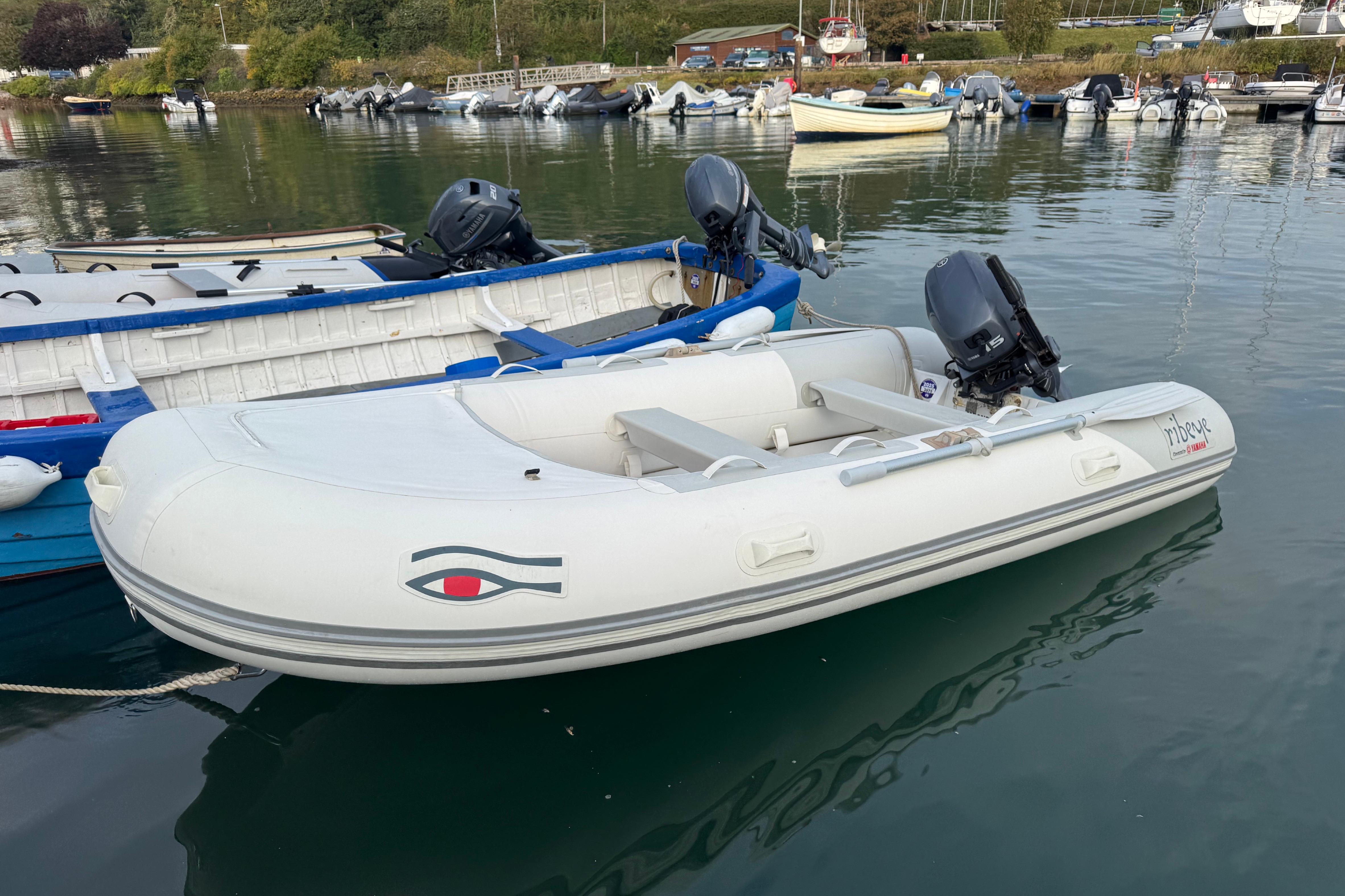2010 Ribeye Tender TS370