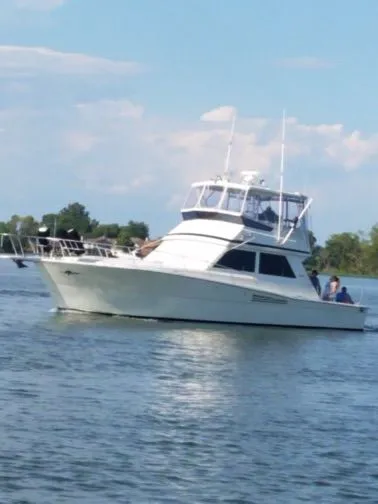 Loose Wire Yacht Photos Pics 