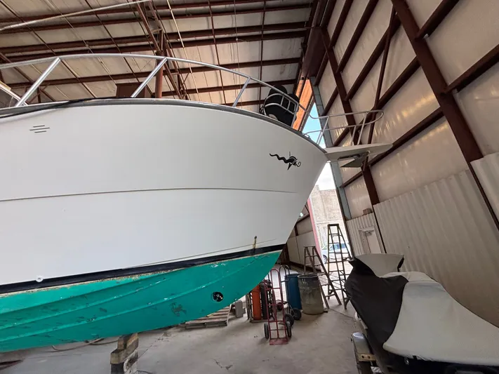 Loose Wire Yacht Photos Pics 