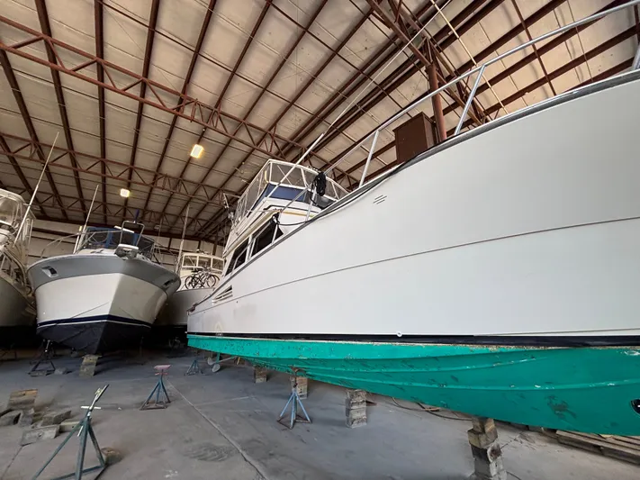 Loose Wire Yacht Photos Pics 