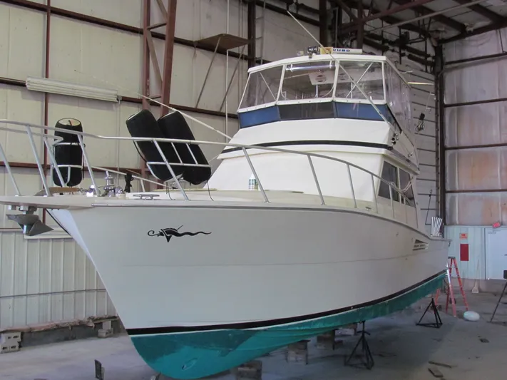 Loose Wire Yacht Photos Pics 