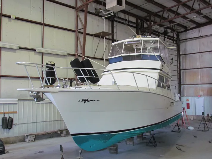 Loose Wire Yacht Photos Pics 