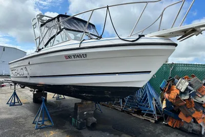 Robalo 2160 Cuddy Cabin