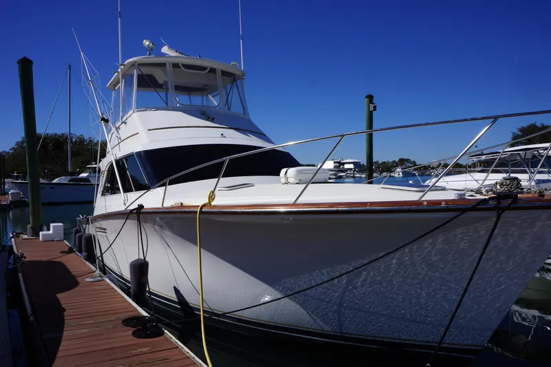 The Dog House Yacht Photos Pics 