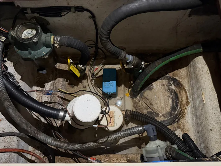 Genau II Yacht Photos Pics 