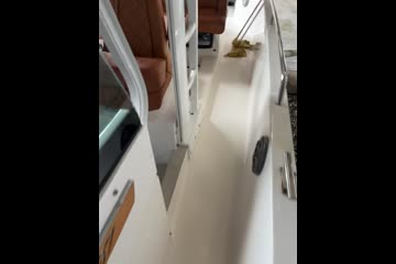 Video Placeholder