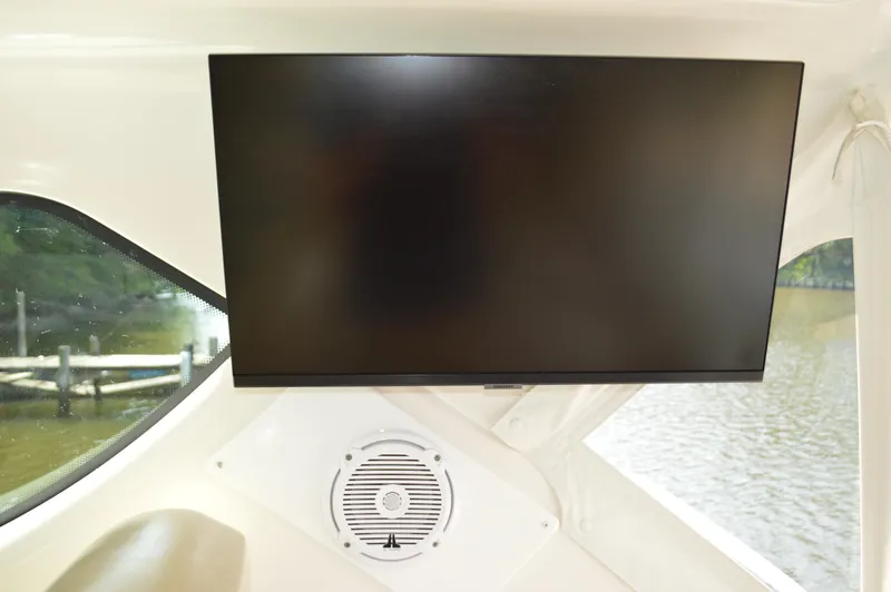 Lion Around Yacht Photos Pics Flat-screen TV and speaker on 2006 Tiara Yachts 4300 Sovran interior.