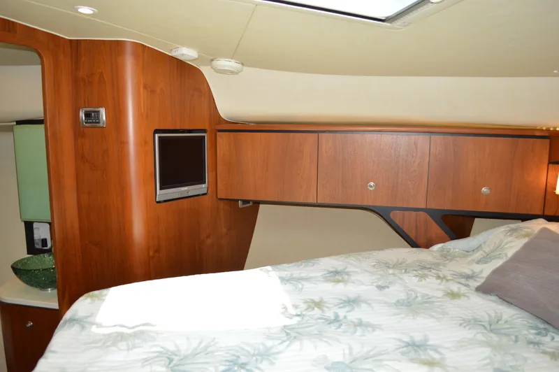 Lion Around Yacht Photos Pics 