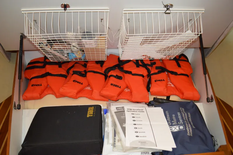 Lion Around Yacht Photos Pics 