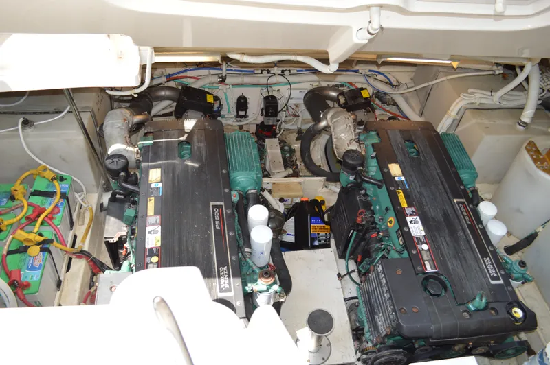 Lion Around Yacht Photos Pics 