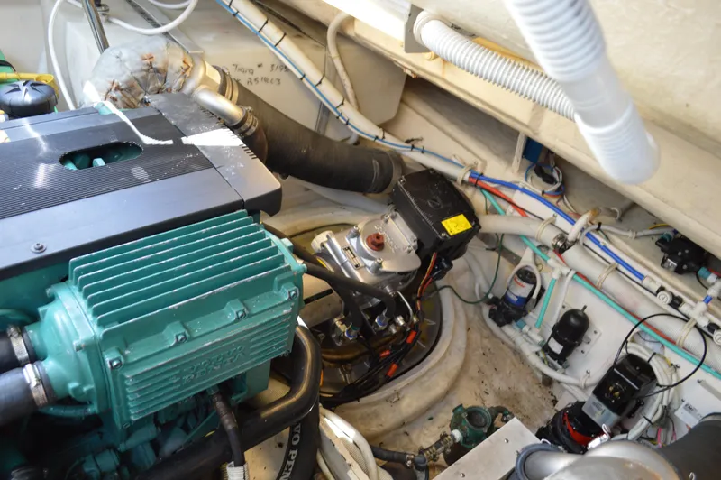 Lion Around Yacht Photos Pics 