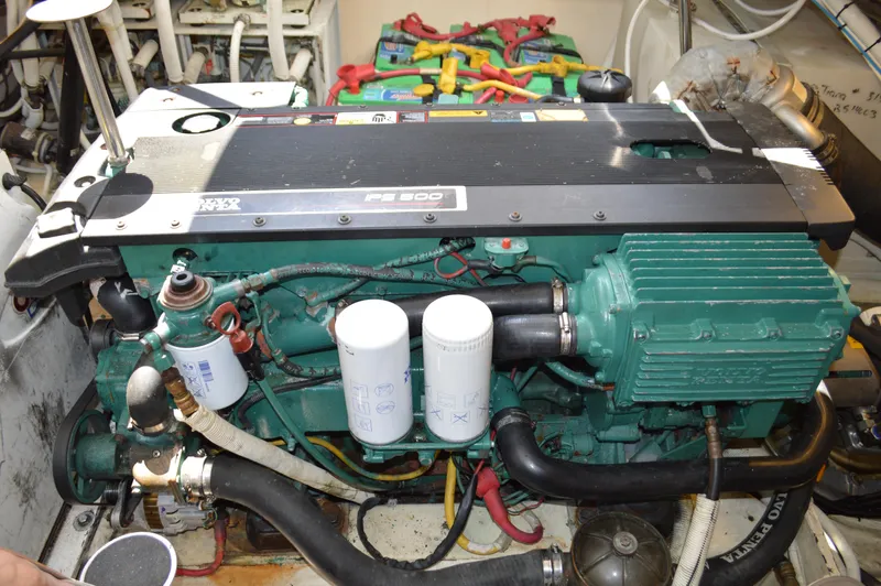 Lion Around Yacht Photos Pics 