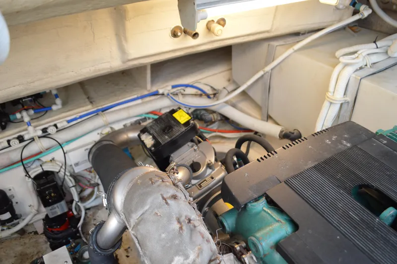 Lion Around Yacht Photos Pics 