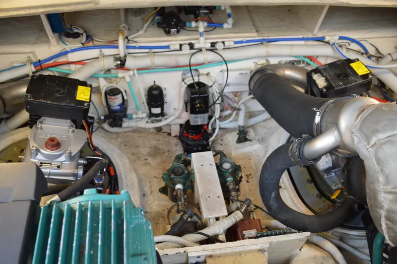 Lion Around Yacht Photos Pics 