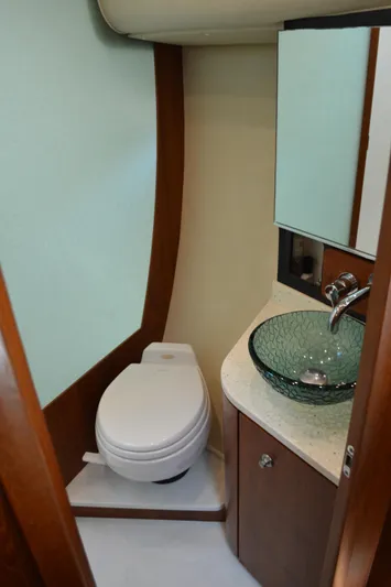 Lion Around Yacht Photos Pics 