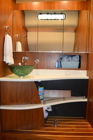 Lion Around Yacht Photos Pics 