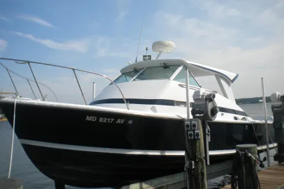 Bertram 31 Bahia Mar
