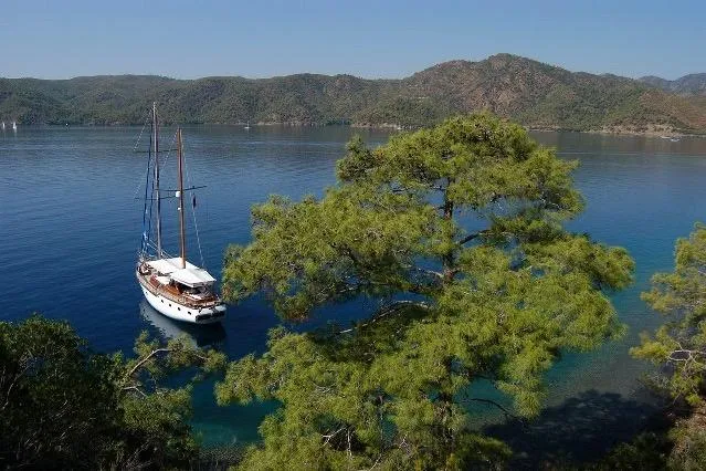 Sailboat on serene blue water near lush green trees and mountainous landscape, 2006.