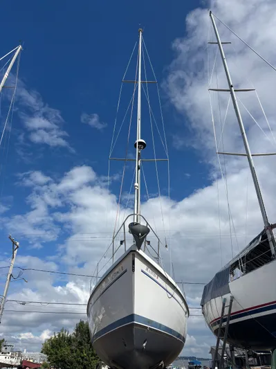 Renaissance Yacht Photos Pics Catalina 380 sailboat from 2000 on land, under a clear blue sky.