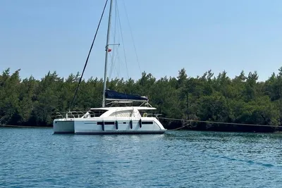 Leopard 40
