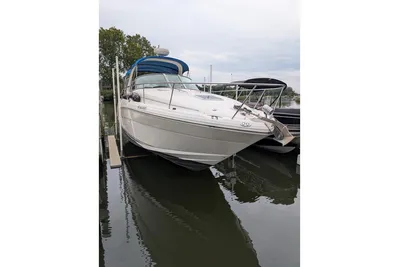 Custom Searay 300 Sundancer