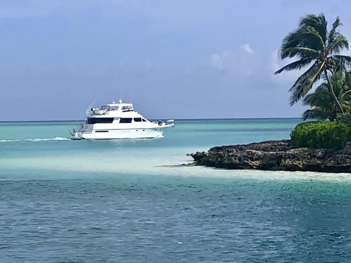 Cleodora Yacht Photos Pics 1988 Viking 63 Cockpit Motor Yacht cruising near tropical island with palm trees.