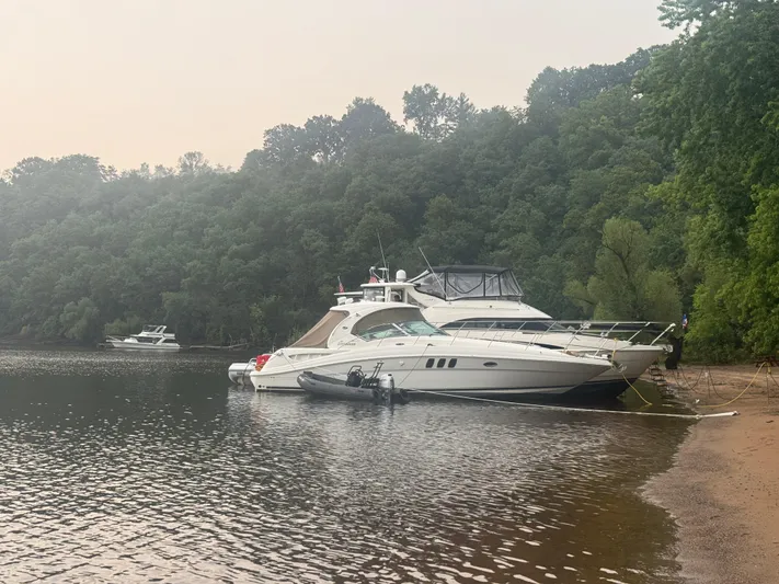 Pour Decisions Yacht Photos Pics 