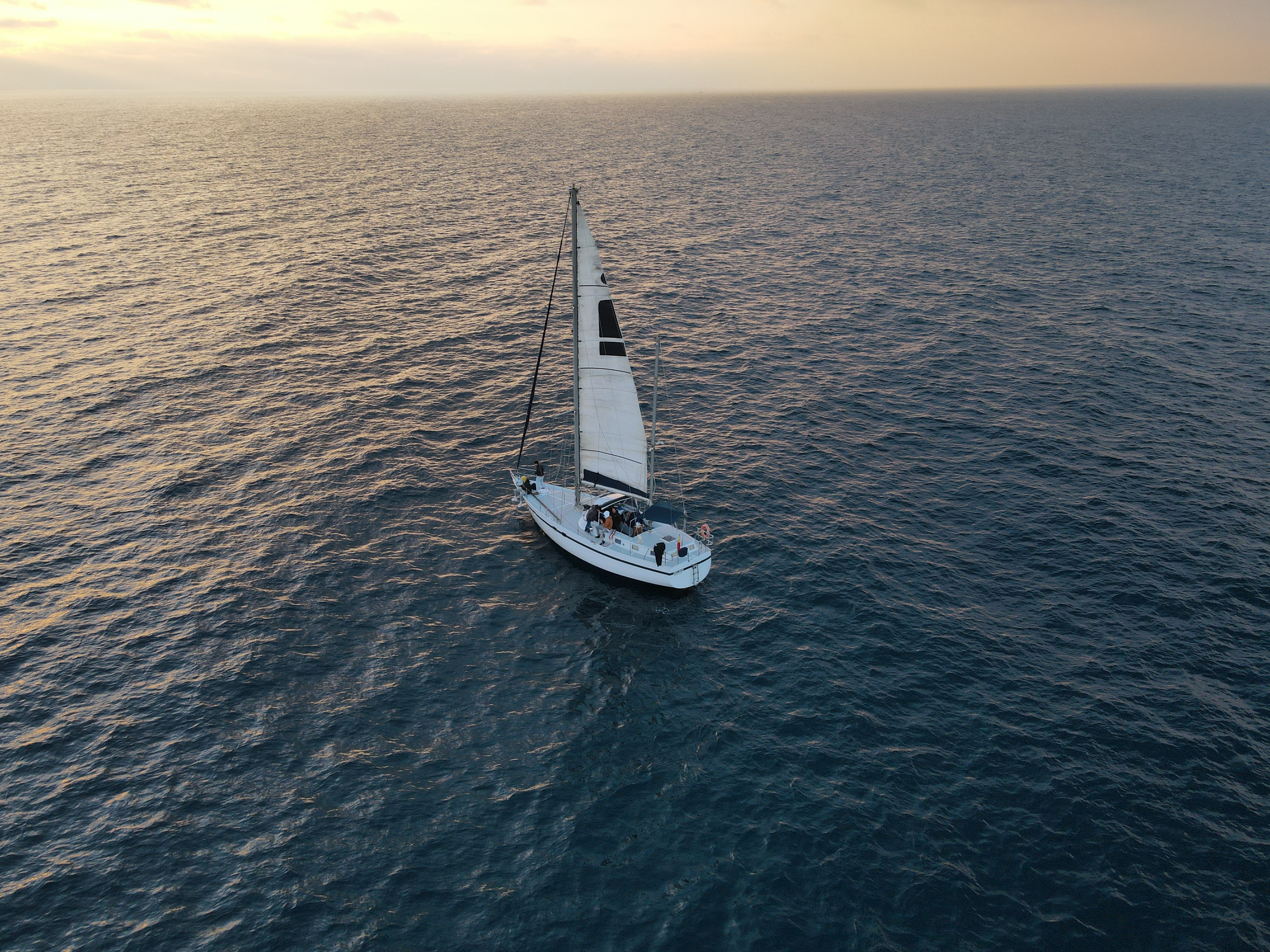 1980 Feltz Skorpion III