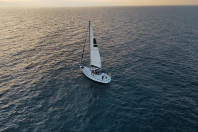 1980 Feltz Skorpion III