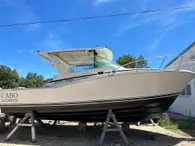 1998 Cabo 31