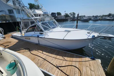 Albemarle 305 Express Fisherman