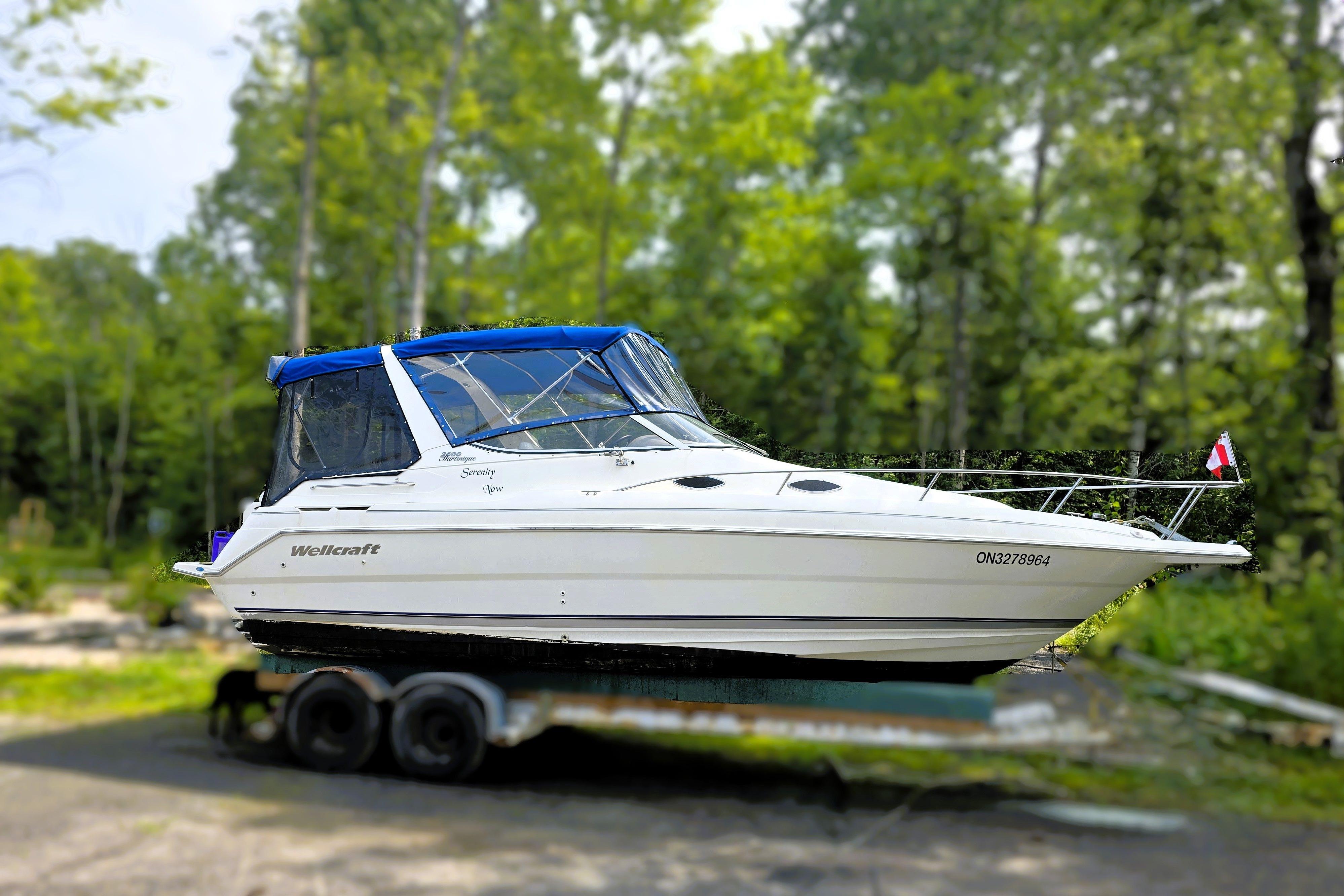 Wellcraft 2600 Martinique