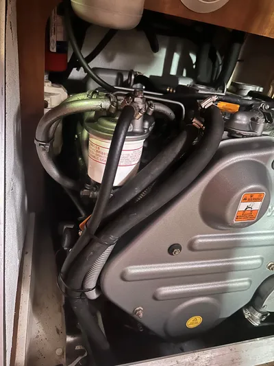 Top Dog Yacht Photos Pics 