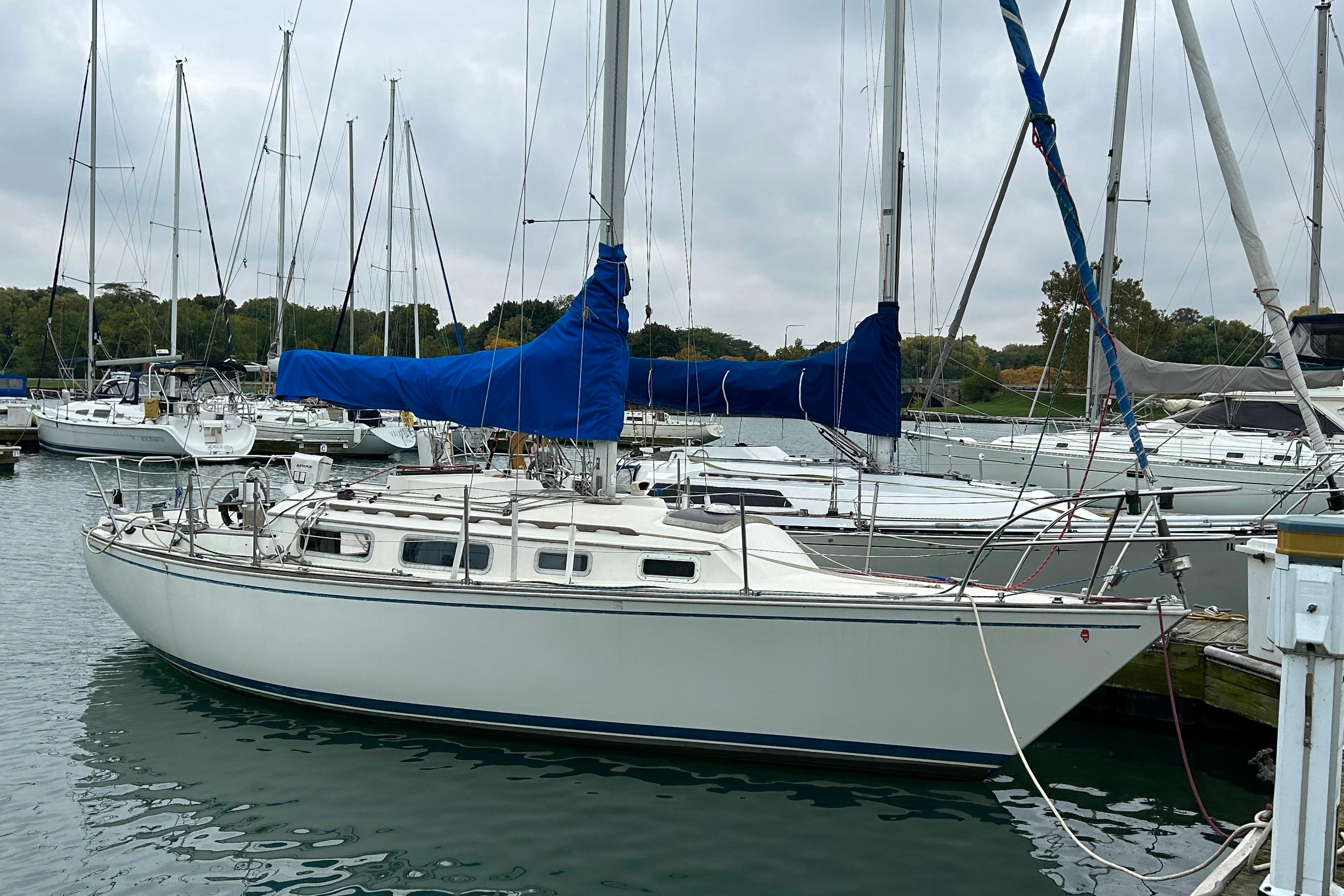 Sabre 30