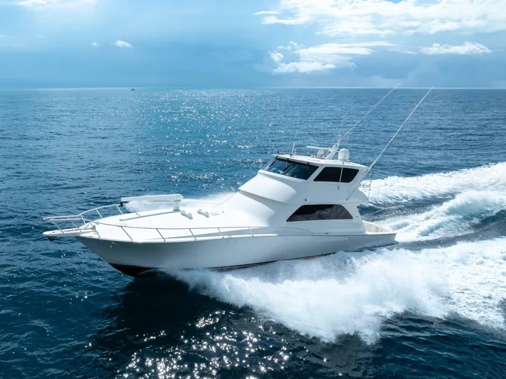 Nailed It Yacht Photos Pics 