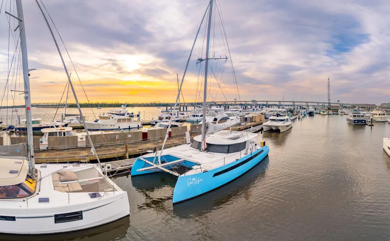 Sealife Yacht Photos Pics 