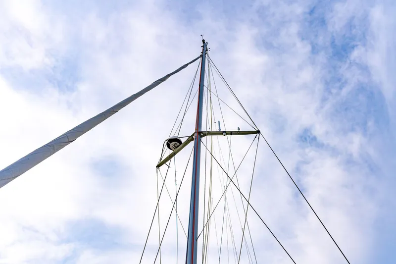 Sealife Yacht Photos Pics 