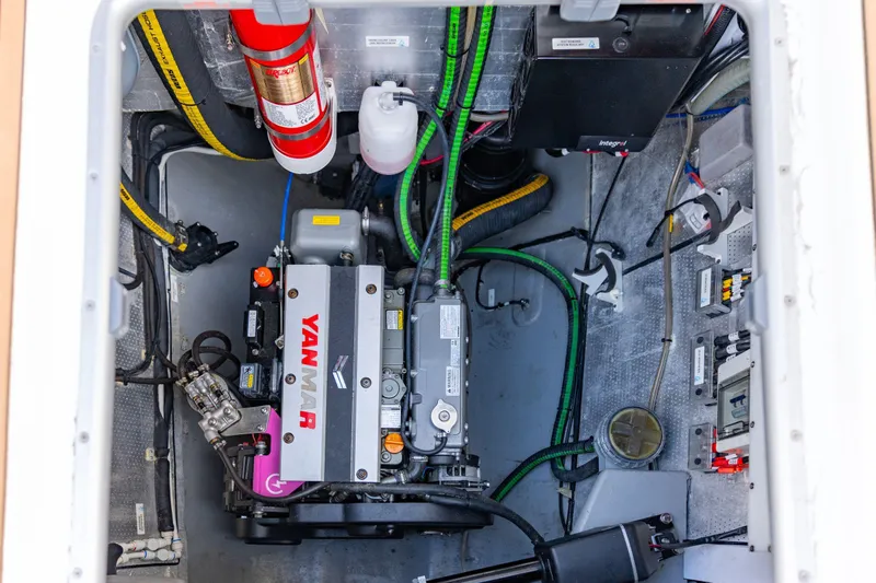 Sealife Yacht Photos Pics 