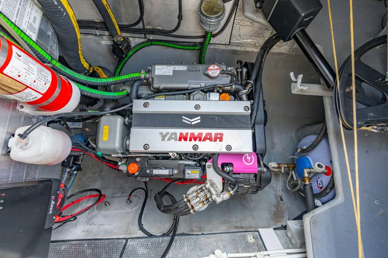 Sealife Yacht Photos Pics 