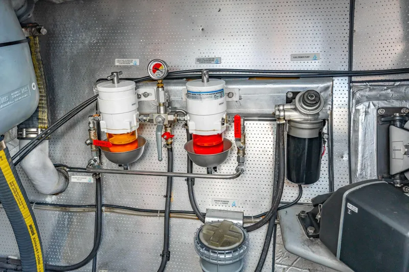 Sealife Yacht Photos Pics 