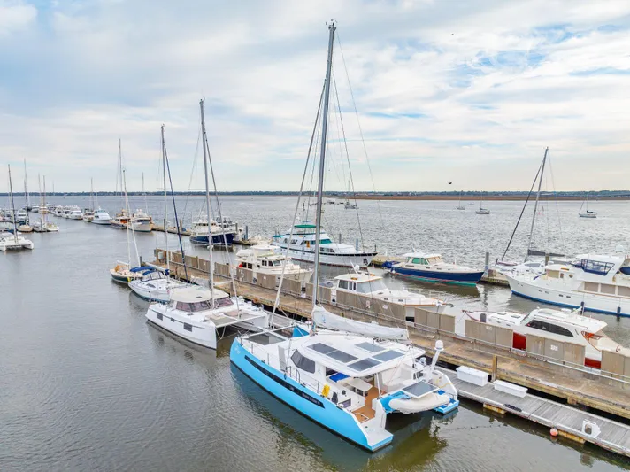 Sealife Yacht Photos Pics 