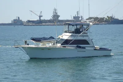 Egg Harbor Sportfisher