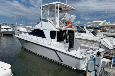 Trojan 12 Meter Convertible