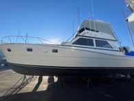 1984 Viking 46