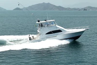 Bertram 510 Convertible