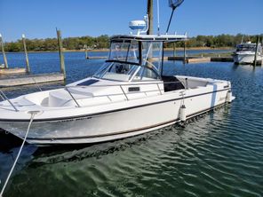 Shamrock 246 Adventurer
